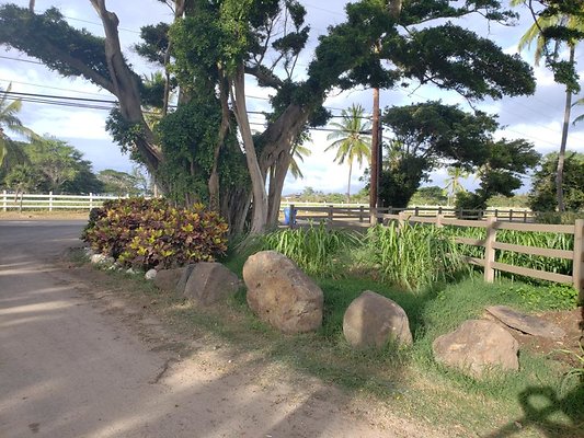 th 20190919 170430 th 20190919 170430