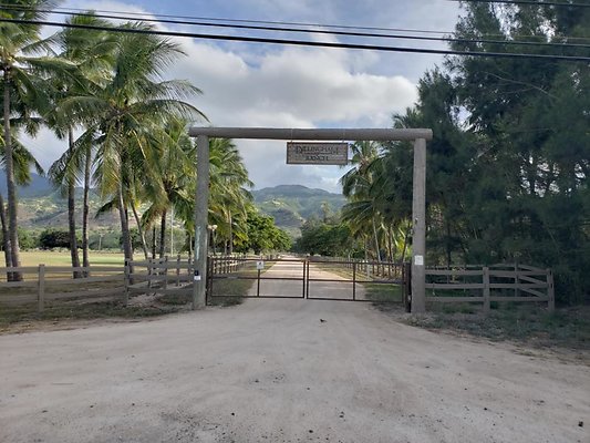 Waialua Dillingham Ranch 68-540 Farrington Hwy Siri Masterson 808.382.3512 Waialua Dillingham Ranch 68-540 Farrington Hwy Siri Masterson 808.382.3512