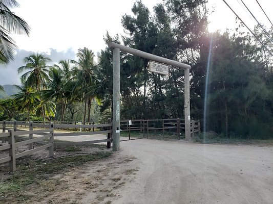 th 20190919 165057 th 20190919 165057