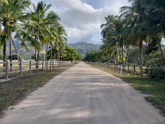 th 20190919 165127 th 20190919 165127