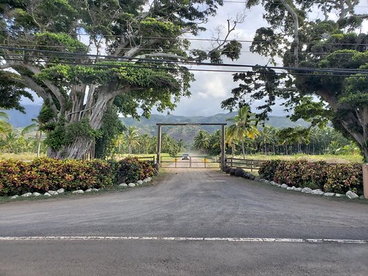 th 20190919 165544 th 20190919 165544