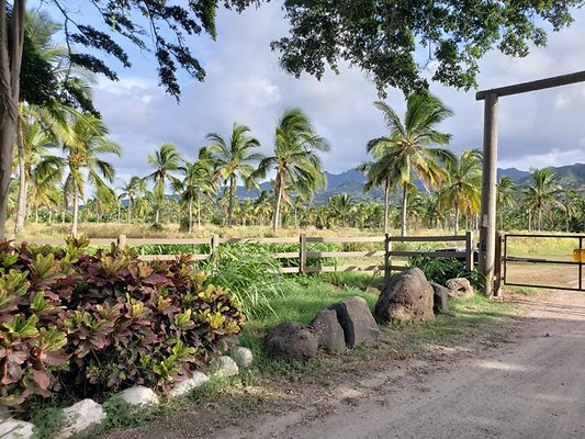 th 20190919 165730 th 20190919 165730