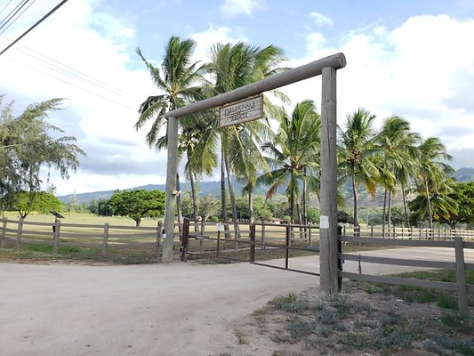 th 20190919 165034 th 20190919 165034