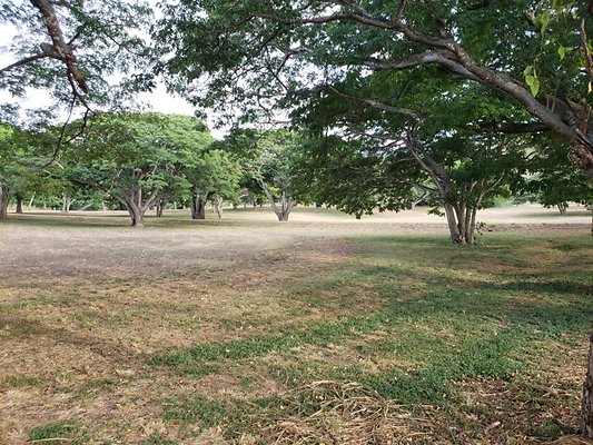 th 20190919 172521 th 20190919 172521