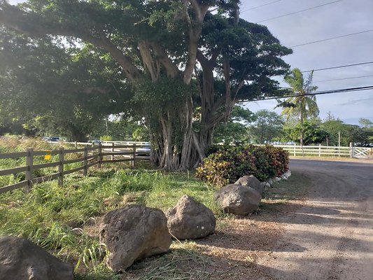 th 20190919 170410 th 20190919 170410