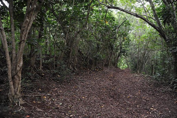 Maunawili Trail and RH Hawaiian Golf Course no contact Maunawili Trail and RH Hawaiian Golf Course no contact