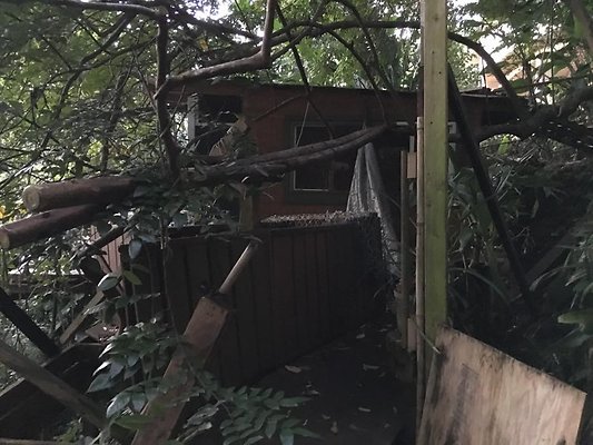 th IMG 4655 th IMG 4655