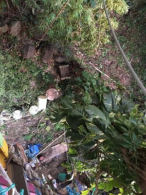 th IMG 4624 th IMG 4624