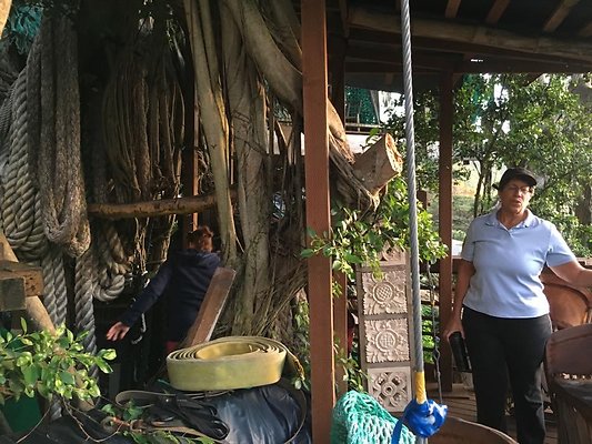 th IMG 4616 th IMG 4616