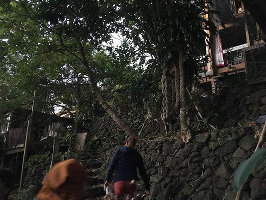 th IMG 4653 th IMG 4653