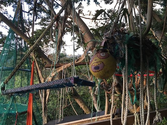 th IMG 4611 th IMG 4611