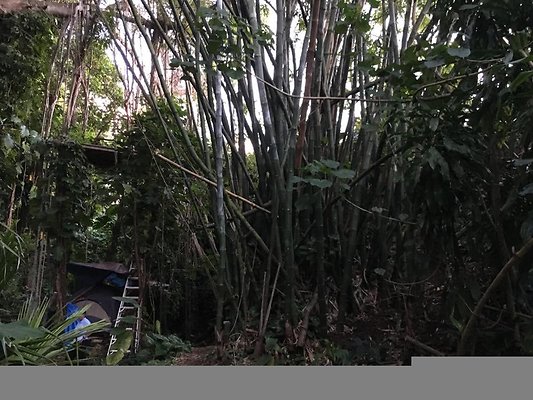 th IMG 4645 th IMG 4645