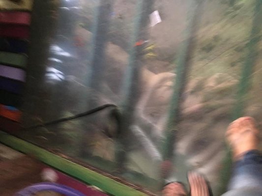 th IMG 4628 th IMG 4628