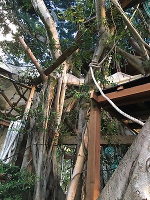 th IMG 4615 th IMG 4615