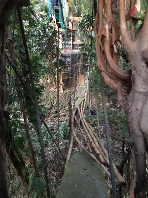 th IMG 4625 th IMG 4625