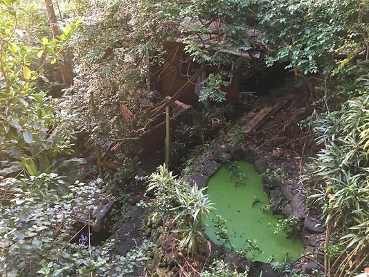 th IMG 4609 th IMG 4609