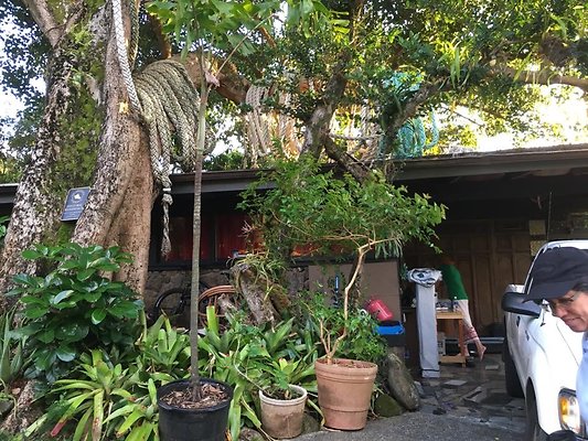 th IMG 4600 th IMG 4600