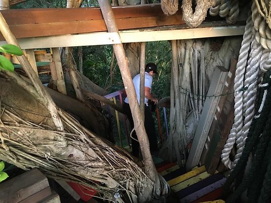 th IMG 4618 th IMG 4618