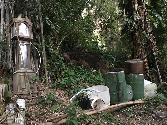 th IMG 4638 th IMG 4638