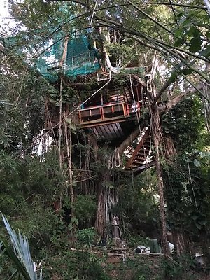 Treehouse