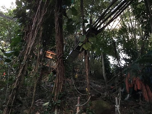 th IMG 4637 th IMG 4637