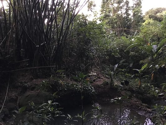 th IMG 4652 th IMG 4652