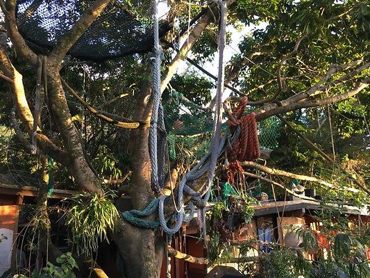 th IMG 4606 th IMG 4606