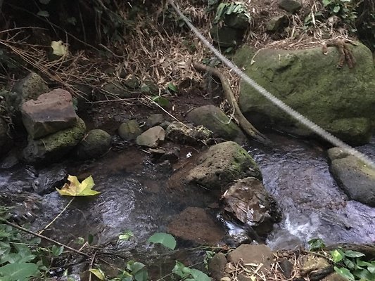 th IMG 4642 th IMG 4642