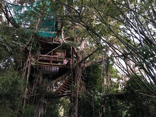 th IMG 4646 th IMG 4646