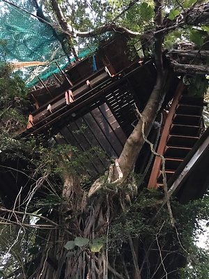 th IMG 4639 th IMG 4639