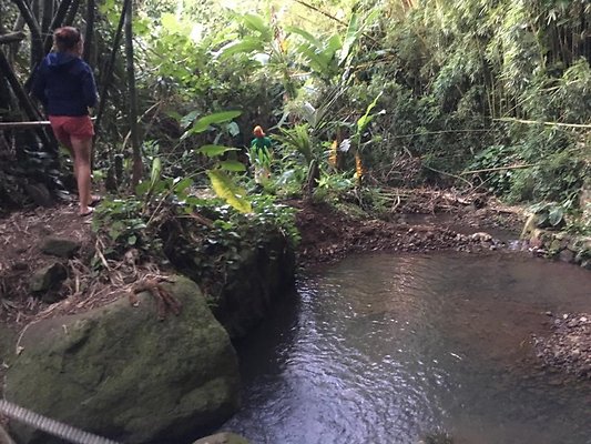 th IMG 4640 th IMG 4640