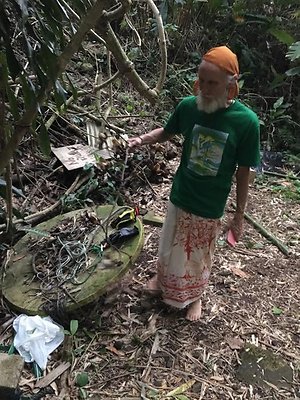 th IMG 4650 th IMG 4650