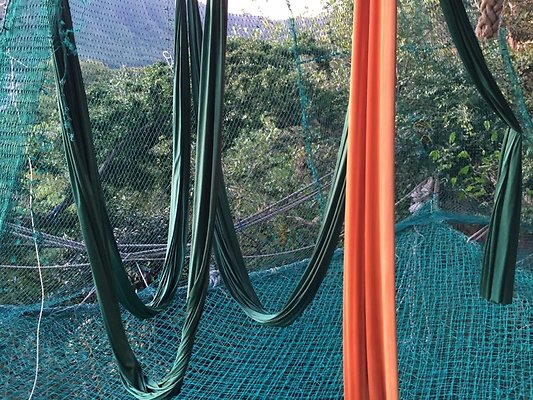 th IMG 4617 th IMG 4617