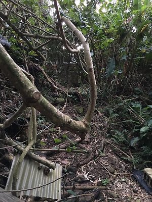 th IMG 4647 th IMG 4647