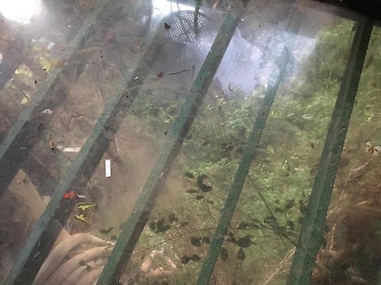 th IMG 4627 th IMG 4627