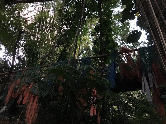 th IMG 4636 th IMG 4636