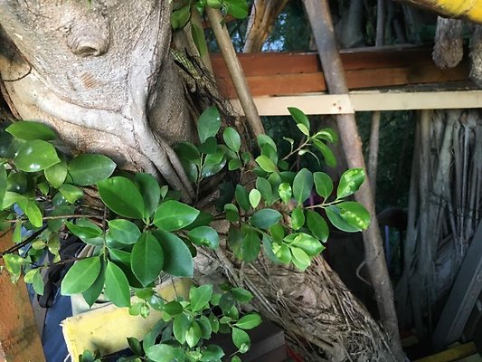 th IMG 4619 th IMG 4619