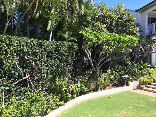 HI50 S5 Hemmeter 2014-11-11 10.50.58