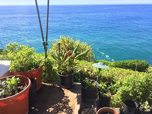 HI50 S5 Hemmeter 2014-11-11 10.51.22