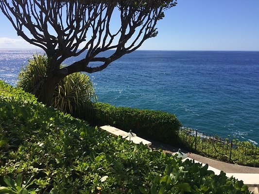 HI50 S5 Hemmeter 2014-11-11 10.51.53