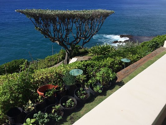 HI50 S5 Hemmeter 2014-11-11 10.51.24