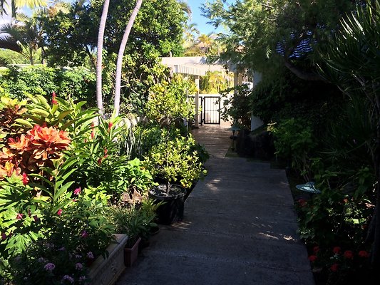 HI50 S5 Hemmeter 2014-11-11 10.34.46