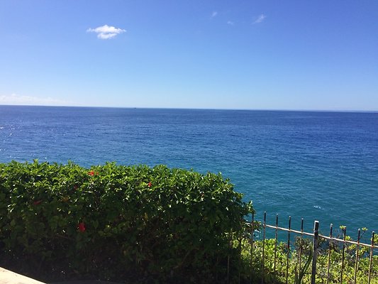 HI50 S5 Hemmeter 2014-11-11 10.52.45 HI50 S5 Hemmeter 2014-11-11 10.52.45