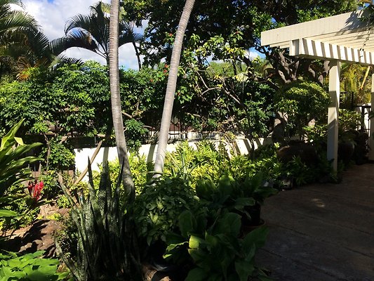 HI50 S5 Hemmeter 2014-11-11 10.33.57