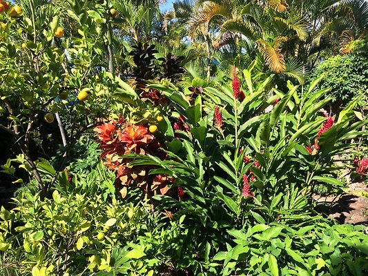 HI50 S5 Hemmeter 2014-11-11 10.33.54