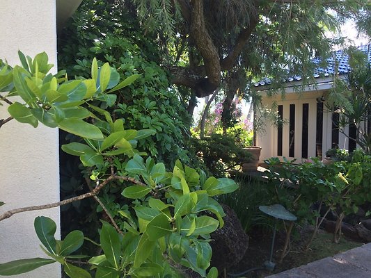 HI50 S5 Hemmeter 2014-11-11 10.32.45