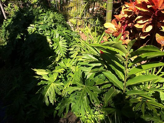 HI50 S5 Hemmeter 2014-11-11 10.34.26