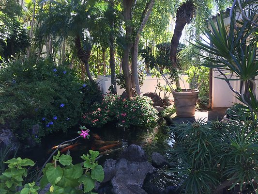 HI50 S5 Hemmeter 2014-11-11 10.33.13