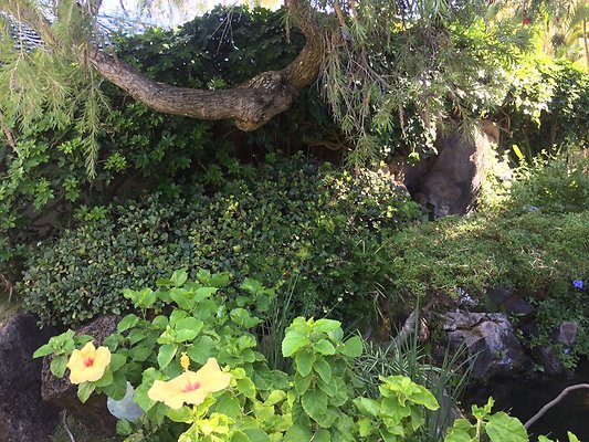 HI50 S5 Hemmeter 2014-11-11 10.33.41