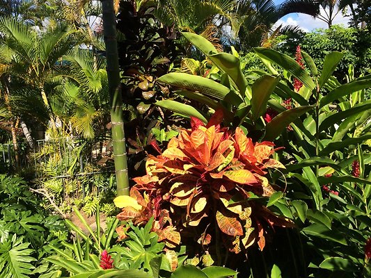 HI50 S5 Hemmeter 2014-11-11 10.34.13